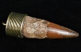 Real Spinosaurus Tooth Pendant - Dinosaur Tooth #11691-1